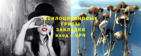 дмт Вязьма