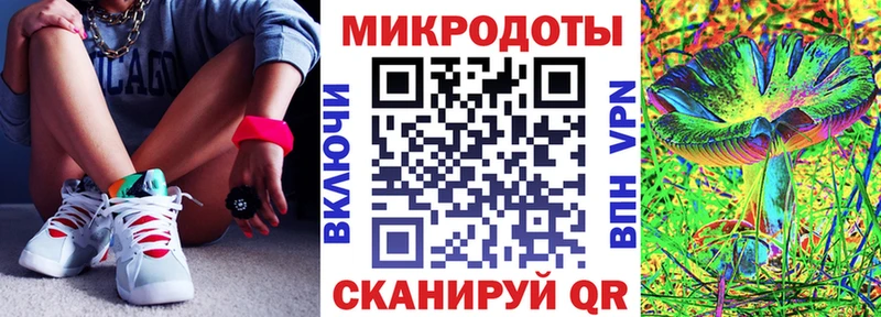 Купить  Короча  Галлюциногенные грибы Psilocybe 
